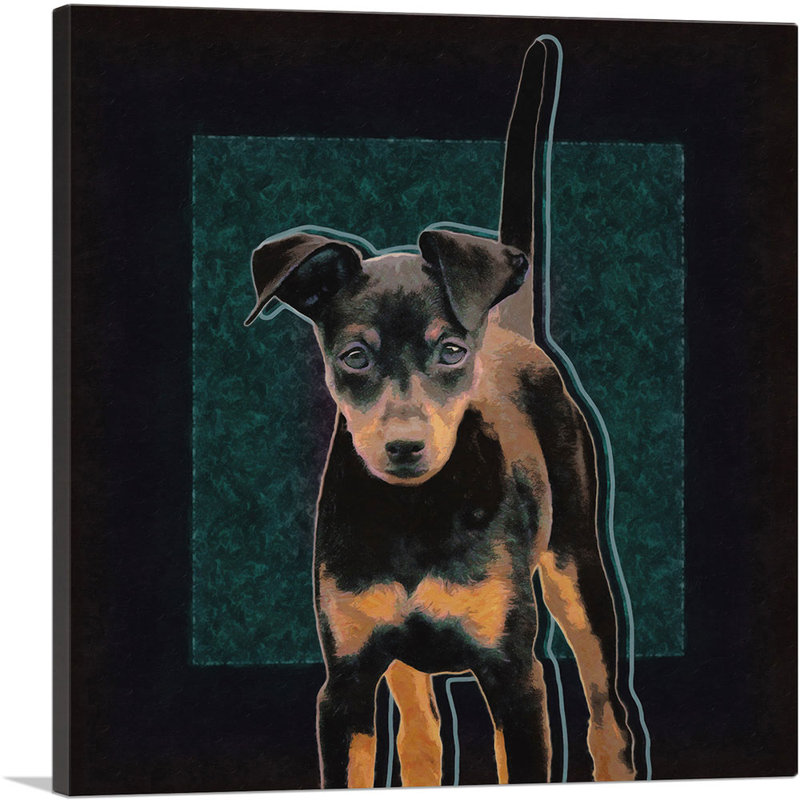 Miniature Pinscher Dog Breed - reproduction d'art sur toile tendue, H 18 po x l 18 po x P 0,75 po