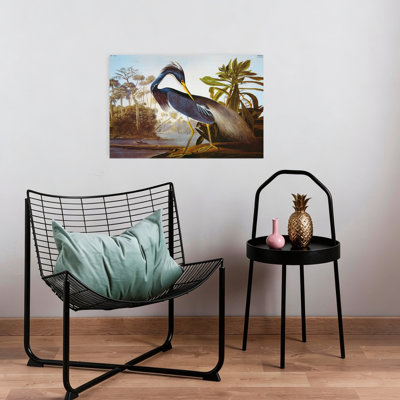 Louisiana Heron From "Birds Of America" Classic Traditional Vintage Bird Coastal Nature Wall Art Print by John James Audubon - Wrapped Canvas Print