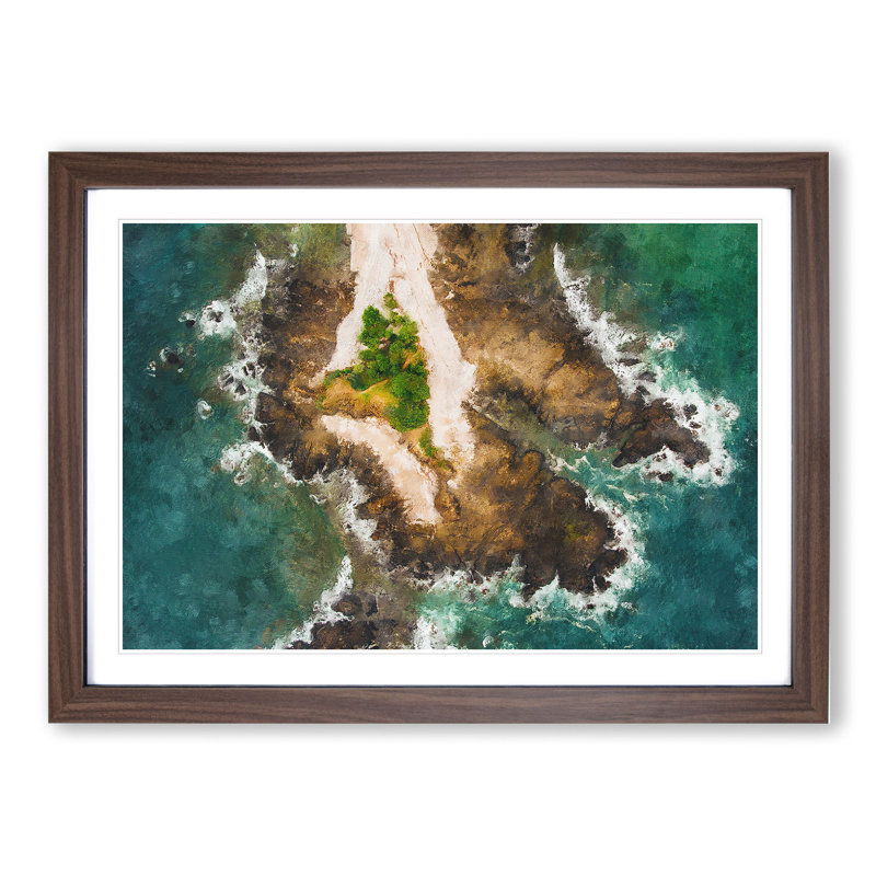 Samara in Costa Rica - Picture Frame Graphic Art, Walnut Framed, 36cm H x 48cm W x 2cm D