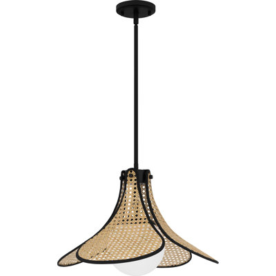Luminaire suspendu noir mat 1 lumière Addylen