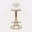 Ensemble de 2 tabourets de bar en forme de S avec tabourets de bar rembourrés à imprimé floral et tabouret à hauteur de comptoir pour îlot de cuisine
