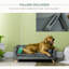 Canapé pour chien avec coussins amovibles, canapé pour animaux en mousse, canapé pour chat avec coussin lavable amovible et tissu résistant à l'eau, gris
