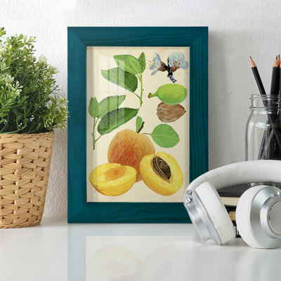 «Apricot Study I», reproduction d'art sur papier