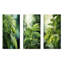 «Mossy Morning Palms», ensemble de 3 impressions sur toile de palmiers et palmiers-163406689-163406693