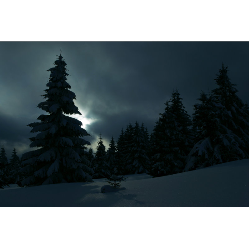 Winter Night by AVTG - Wrapped Canvas Print, 81cm H x 122cm W x 3.8cm D