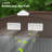 Backyard Tool Metal Shed,Spacious Storage Shed