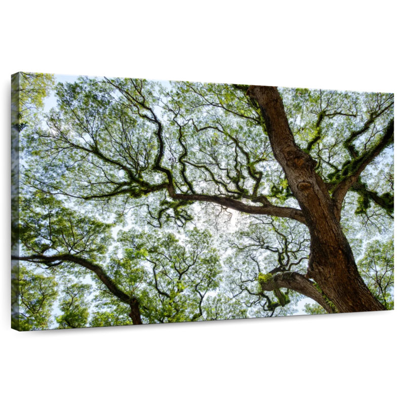 Harnek Rustic Tree, 24" H x 36" W