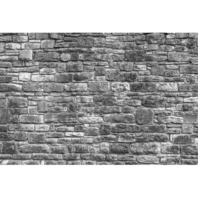 Murale 8 panneaux l 8 pi x l 144 po stone Savannah