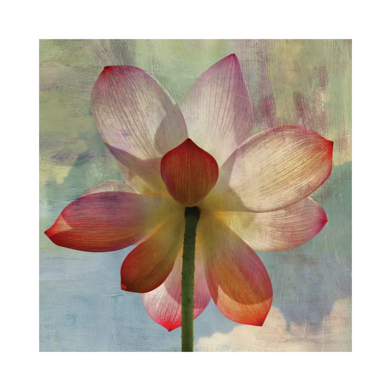 Lovely Lily II by PI Studio - Wrapped Canvas Painting, 45.72 cm H x 45.72 cm W x 3.175 cm D