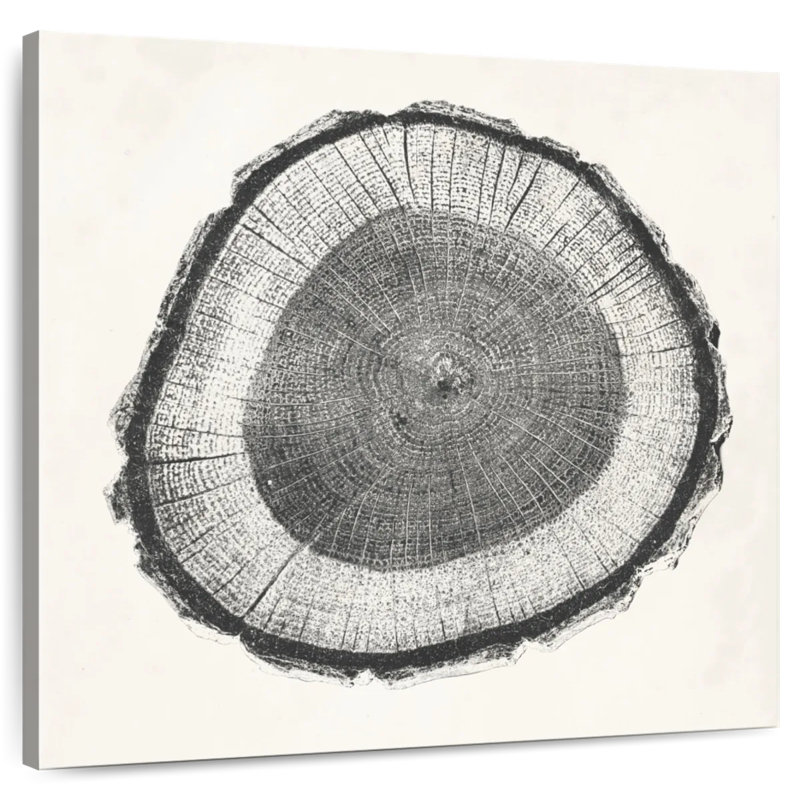 Avery Tree Ring II, 33" H x 33" W