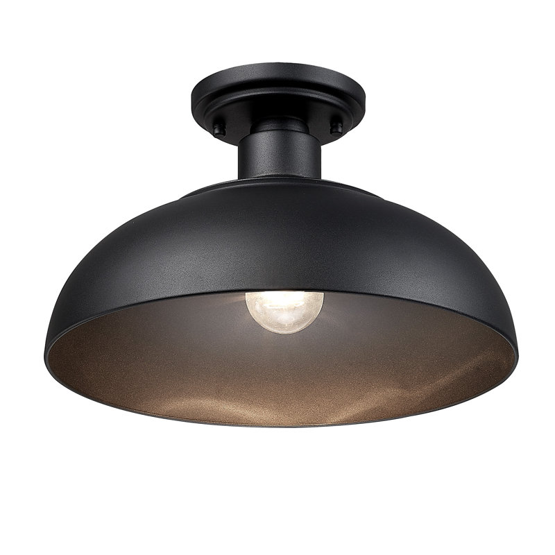 Yep by Golden Lighting Levitt 1-light Outdoor Ceiling in Natural Black and Natural Black shade, Black