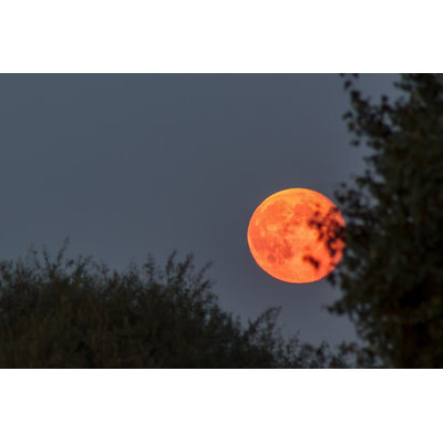 Lune de sang rouge