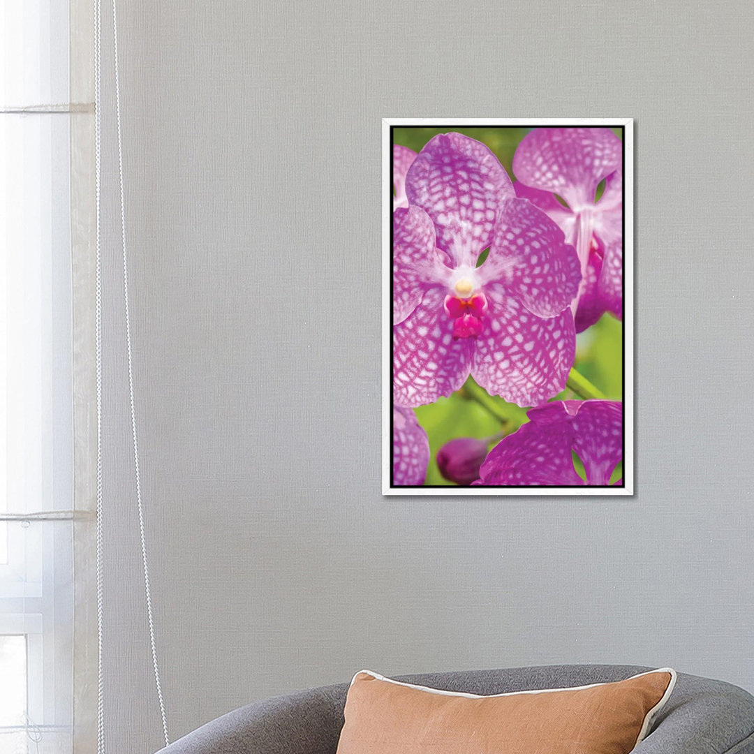 Gray Flora I 1PC6