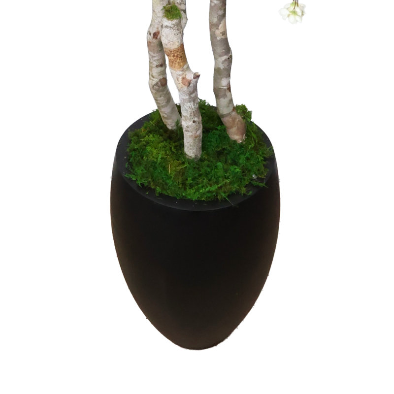 7' Cherry Blossom Tree in Fiberstone Planter