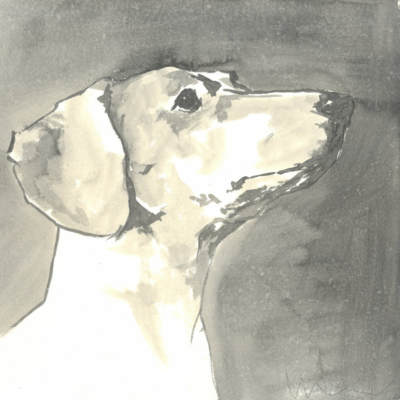 Sepia Modern Dog IV by A Very Modern Dog - Wrapped Canvas Painting, 51cm H x 51cm W x 3.8cm D