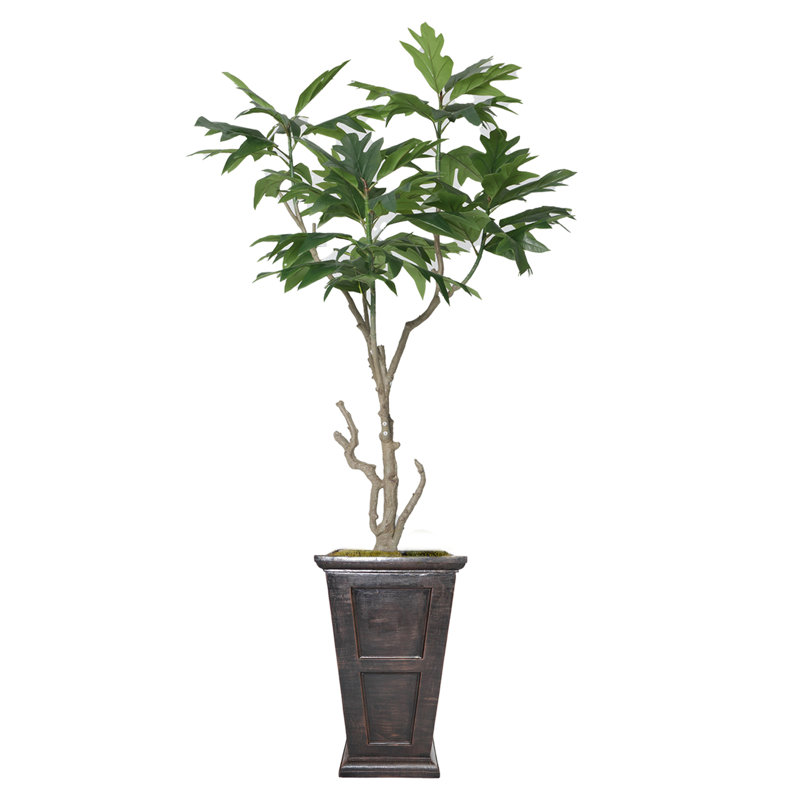 89'' Faux Fiddle Tree Tree in Pot