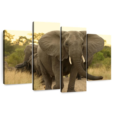 Brampt The Elephant Walk