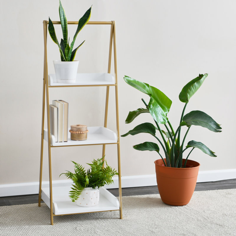 Swirsky Bookcase