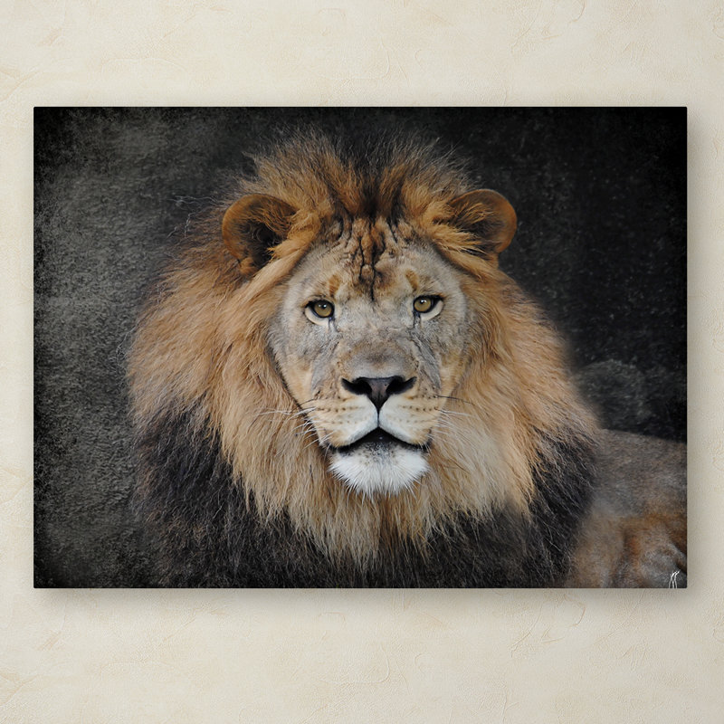 'Male Lion Portrait 1' Graphic Art Print on Wrapped Canvas, 18" H x 24" W