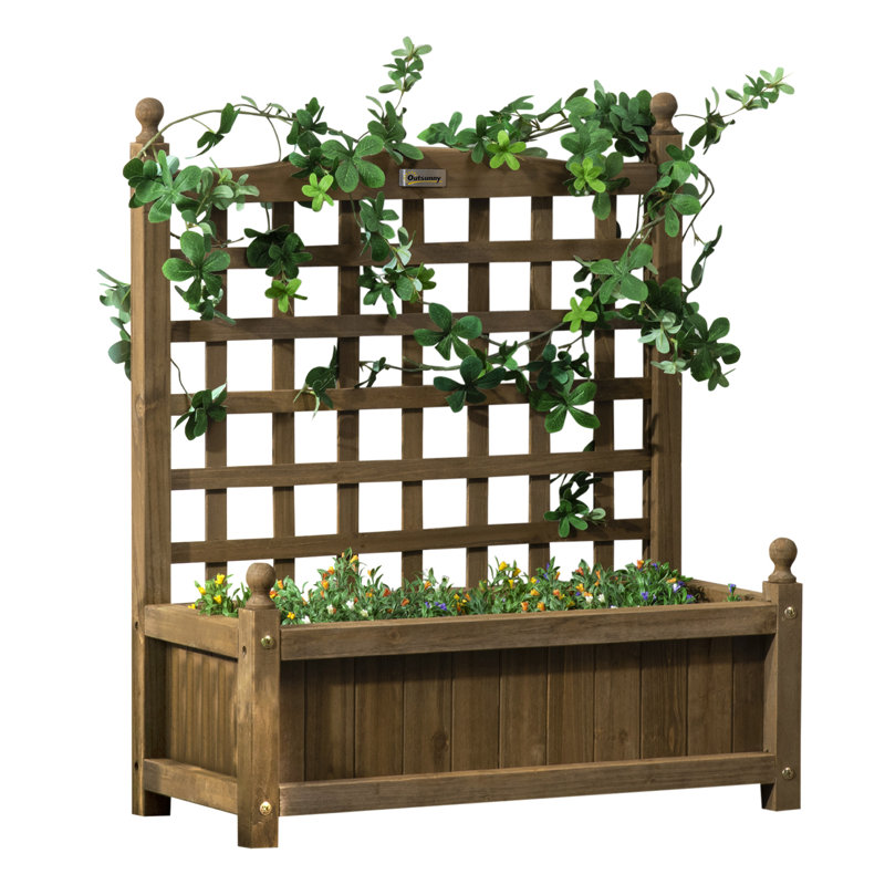 Lit de jardin surélevé avec treillis pour vignes grimpantes, café