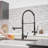 GAWEZA Pull Down Kitchen Faucet-86846741