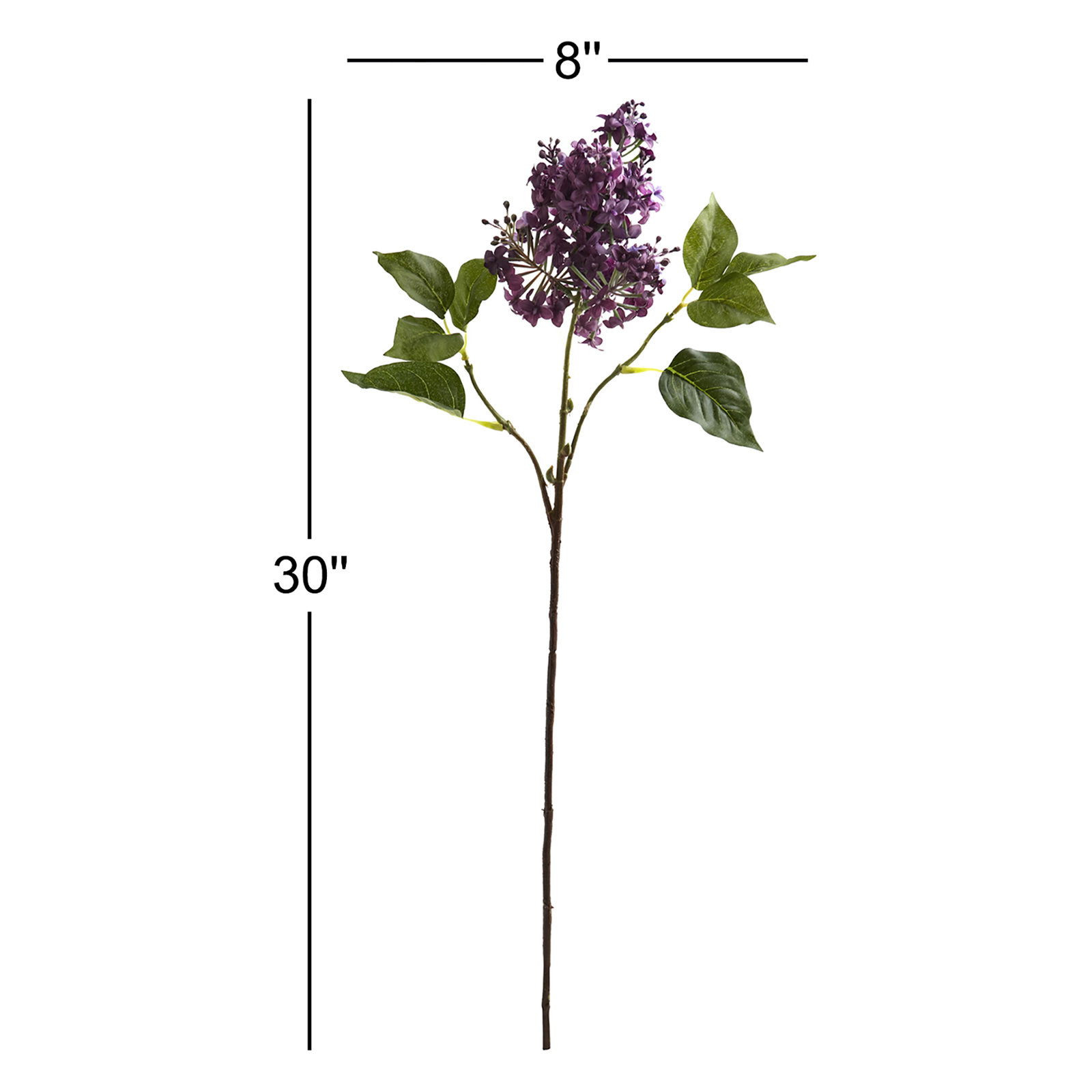 Lilac Floral Stems, Purple