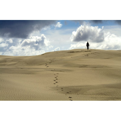 Walking In The Desert by Traveler_no1 - Wrapped Canvas Print