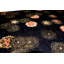 Dharma Floral Area Rug in Black-53113589