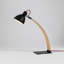 Laito Desk Table Lamp-1304598885