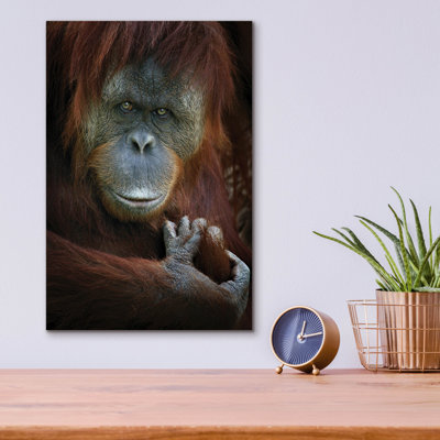 " Emotion " by SD Smart