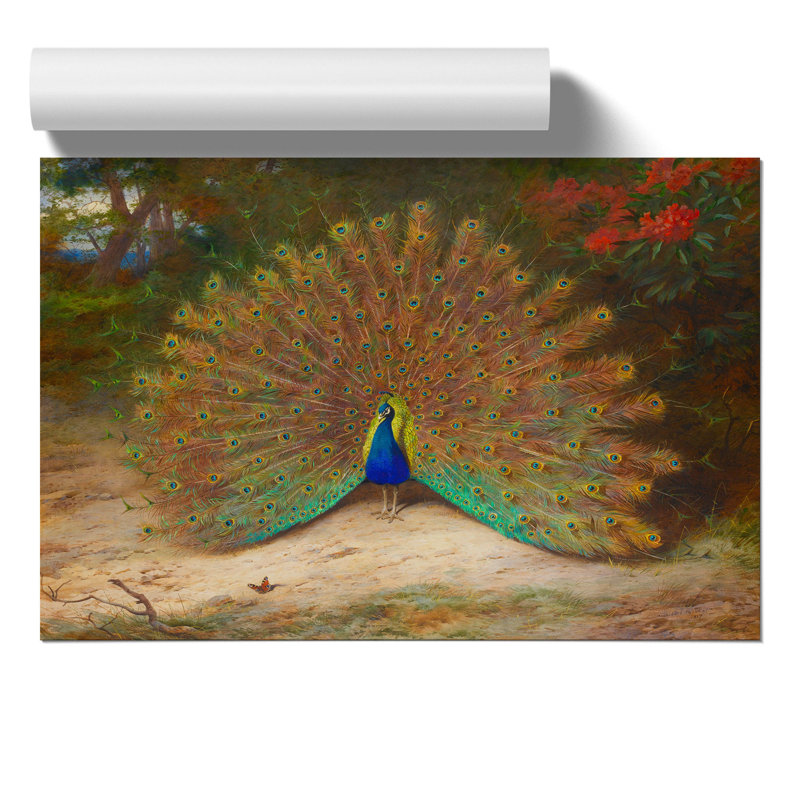 Peacock by Archibald Thorburn - No Frame Painting, 42cm H x 59cm W x 0.1cm D
