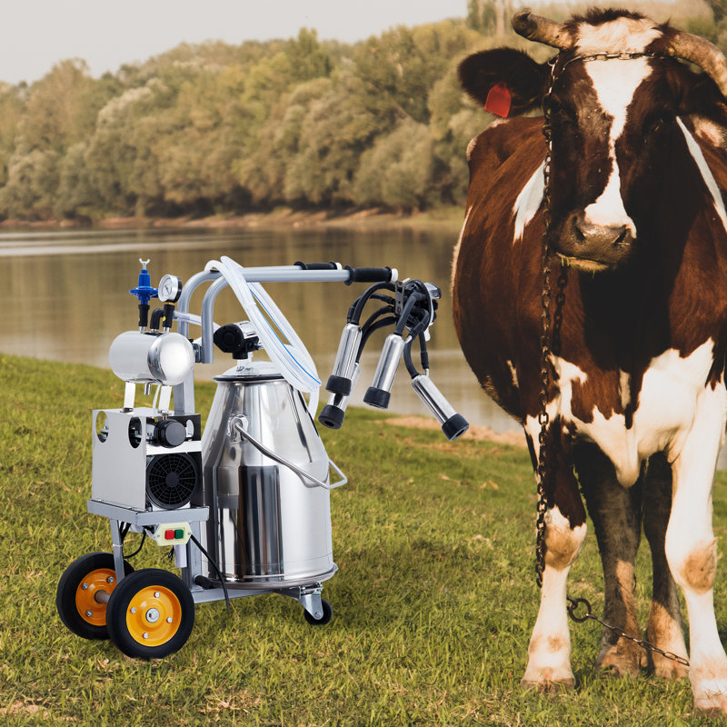 Machine à traire électrique portative de 25 L pour vaches, avec seau en acier inoxydable 304 et système de pulsation sous vide automatique.