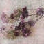 Irena Orlov - Wrapped Canvas Painting-20254562