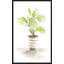 «Fiddle Fig Tree I» par Lanie Loreth - Peinture-65865014-65865015
