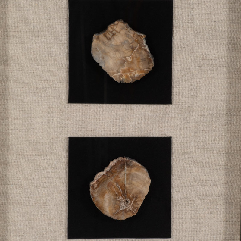 Décoration murale Aldora 16X47 Jensen Petrified