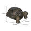 Statue de jardin tortue / tortue en béton armé en fibre de verre résistant aux intempéries