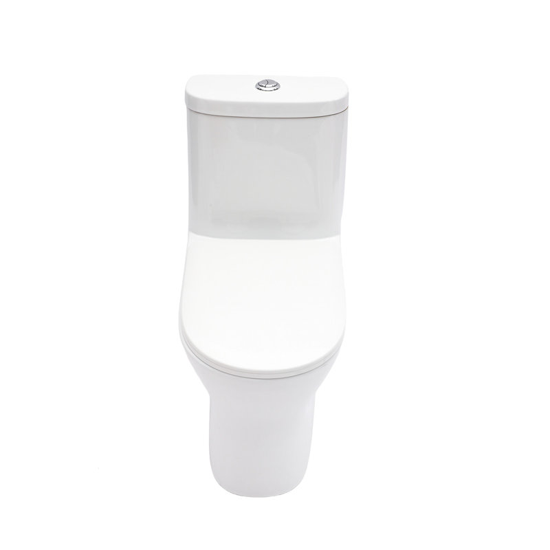 One Piece Of Ceramic Toilet 12 - Inch Rough In 1.22/1.6 Dual Flush Soft Closing Seat 800G Map Quiet Cleaning Easy Hygiene Skirted Style Quick Release Operation Effortless Design