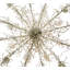 Twigs 24 - Light Chandelier