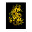 «Black Eye Susan» par Dosta, impression sur toile tendue-29224533
