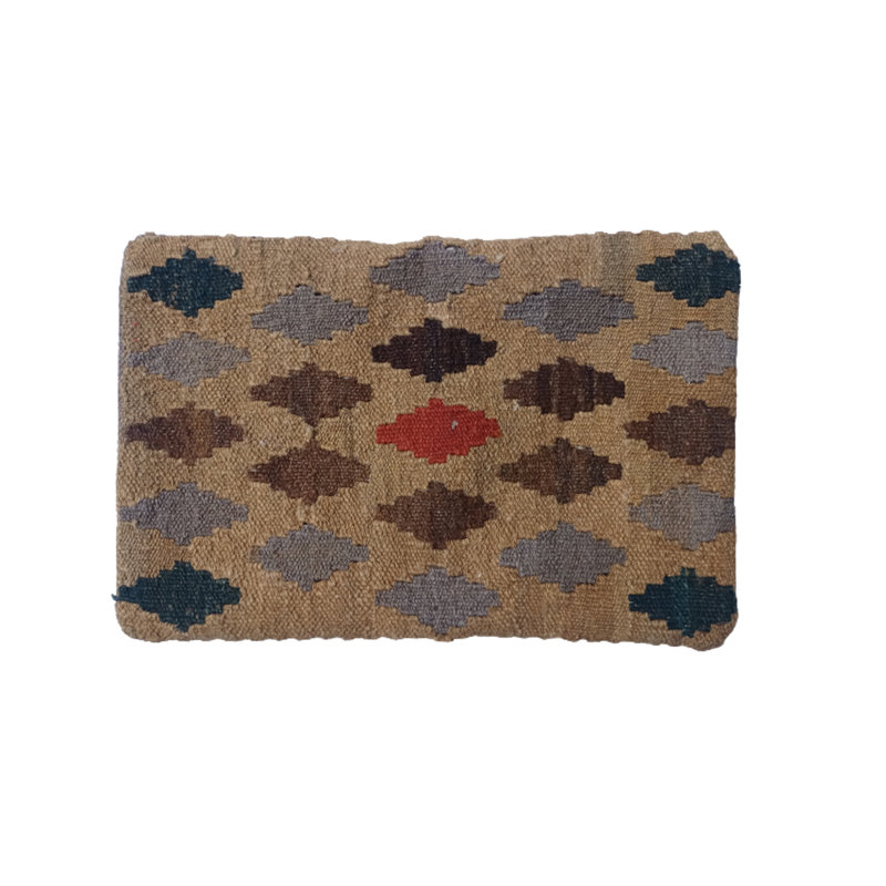 Christman Indoor / Outdoor Geometric Rectangular Throw Cushion Cover