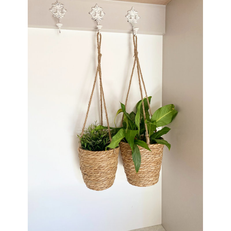 Eckelman Planter Box