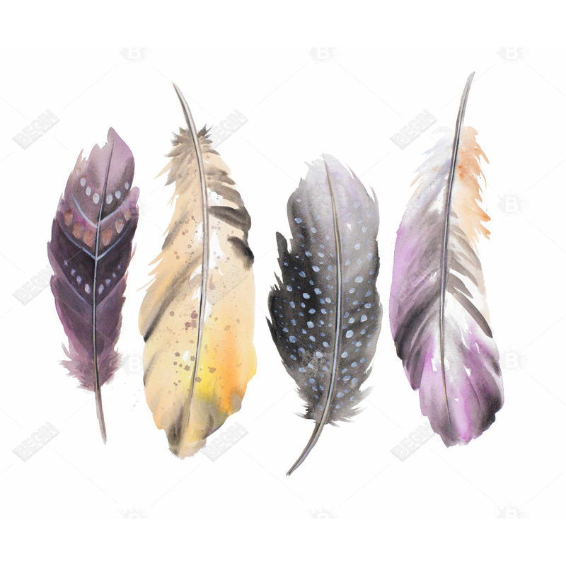 Bohemian Feather Set - Animals Romantic Framed Canvas Decor