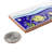 Captain Fishie 2" x 7-7/8" Matte Ceramic Specialty Trim in Navy Blue/Green
