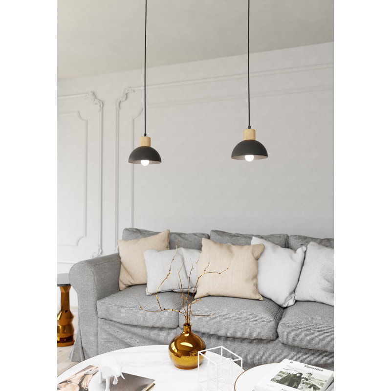 Aylesha 1 - Light Pendant, Matte Black