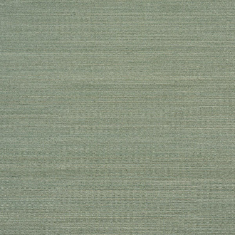 Schumacher x Patterson Flynn Musa Abaca Wallpaper, Light Green