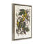 Toile flottante encadrée Classic Carolina Parrot Study par one1000paintings-904910727-891819882