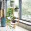 Thatcham Solid Wood Plant Stand 4 Tier