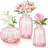 Anirvin Glass Table Vase