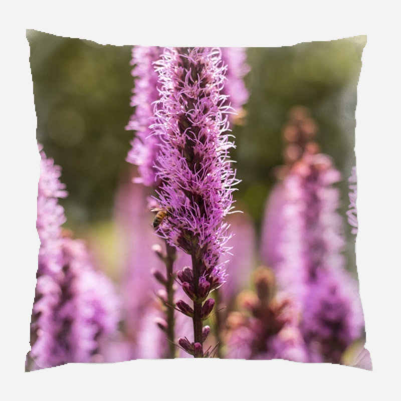 Coussin décoratif nature, Intérieur
