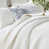 Monterrey Antique White selected
